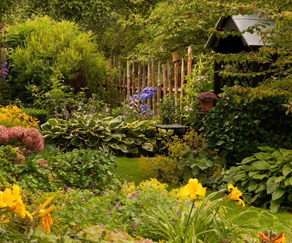 Cottage Garten mit Stauden