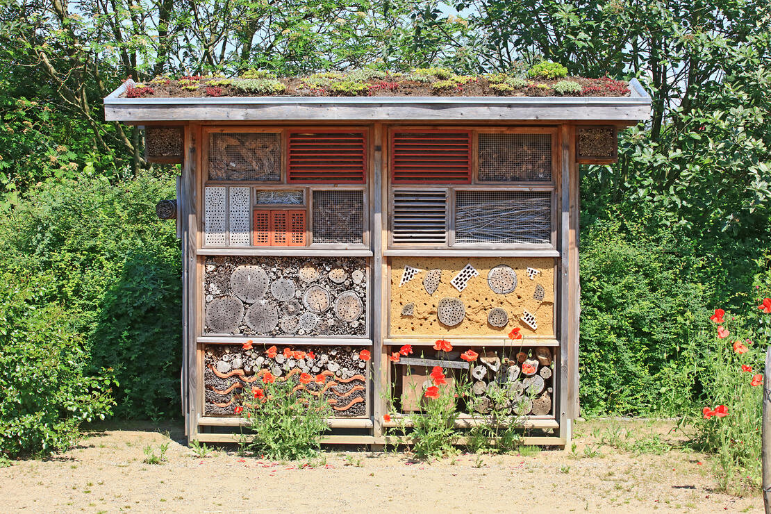 Großes Insektenhotel mit Dachbegrünung. Foto: AdobeStock_photocall