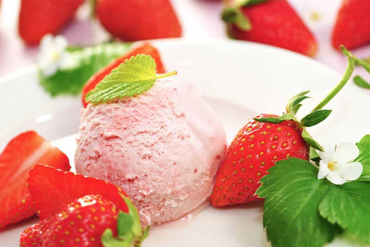 Erdbeereis auf einem Teller mit Erdbeeren [Foto: AdobeStock_Printemps]