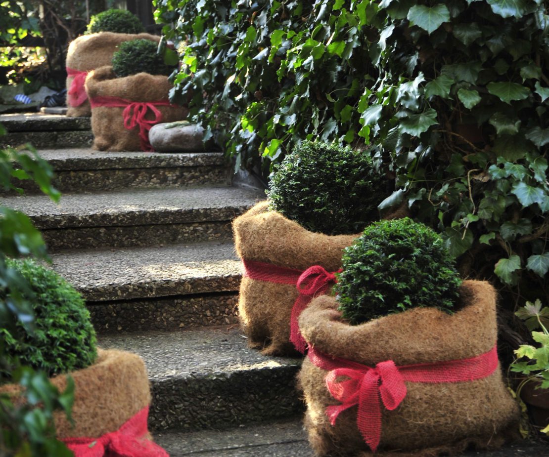 Dekoration in einem Garten im Winter: Kübel mit Schleifen