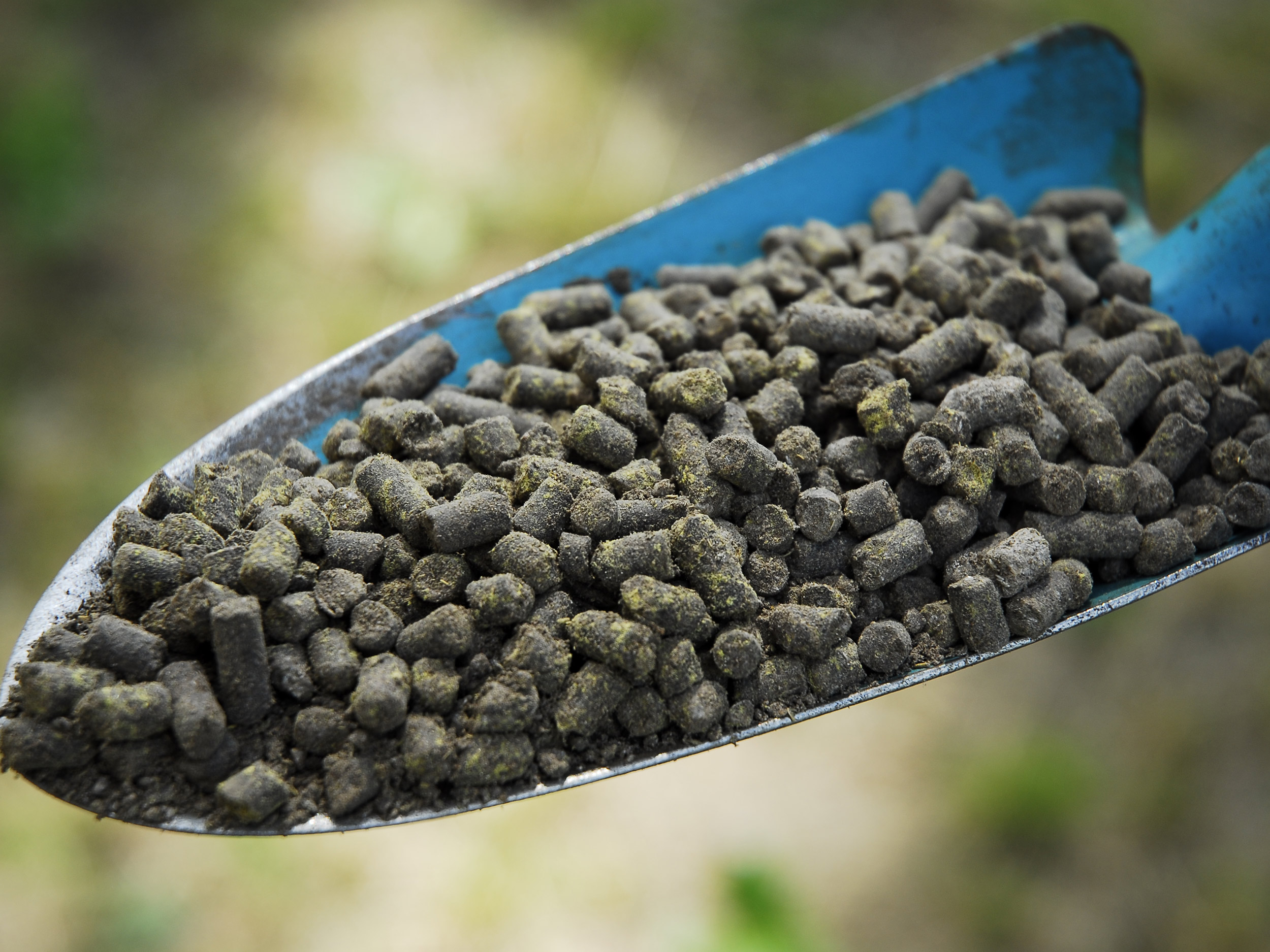 Gemüsebeet düngen im Frühjahr Tipps und Tricks GartenFlora