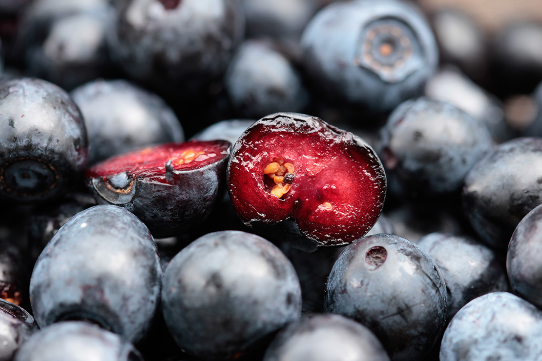 Großaufnahme vom roten Fruchtfleisch einer Wald-Heidelbeere. Foto: AdobeStock_TwilightArtPictures