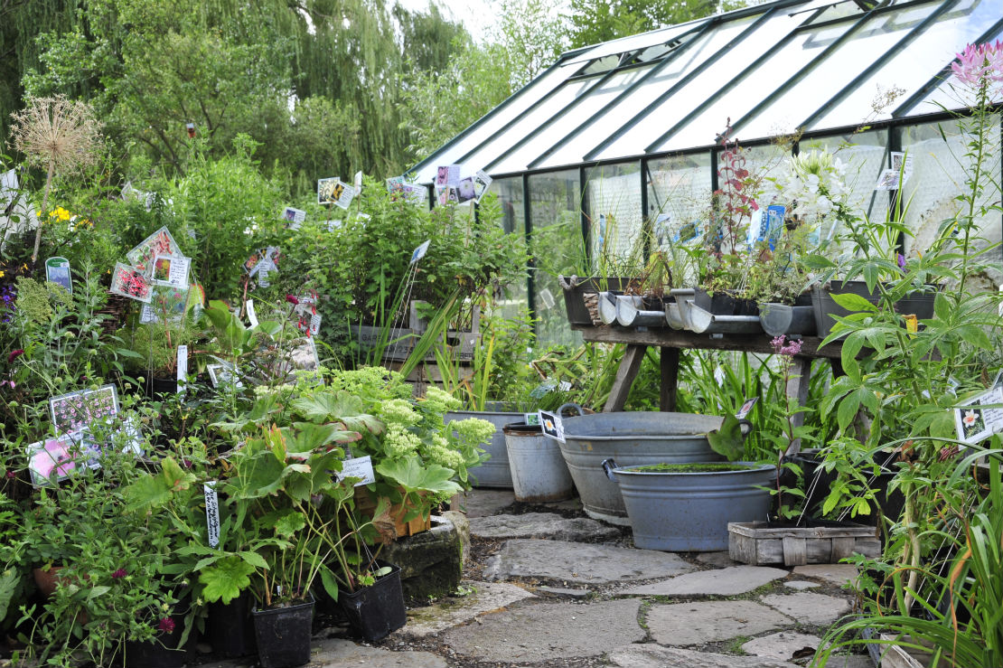Kübelpflanzen im Gewächshaus überwintern GartenFlora