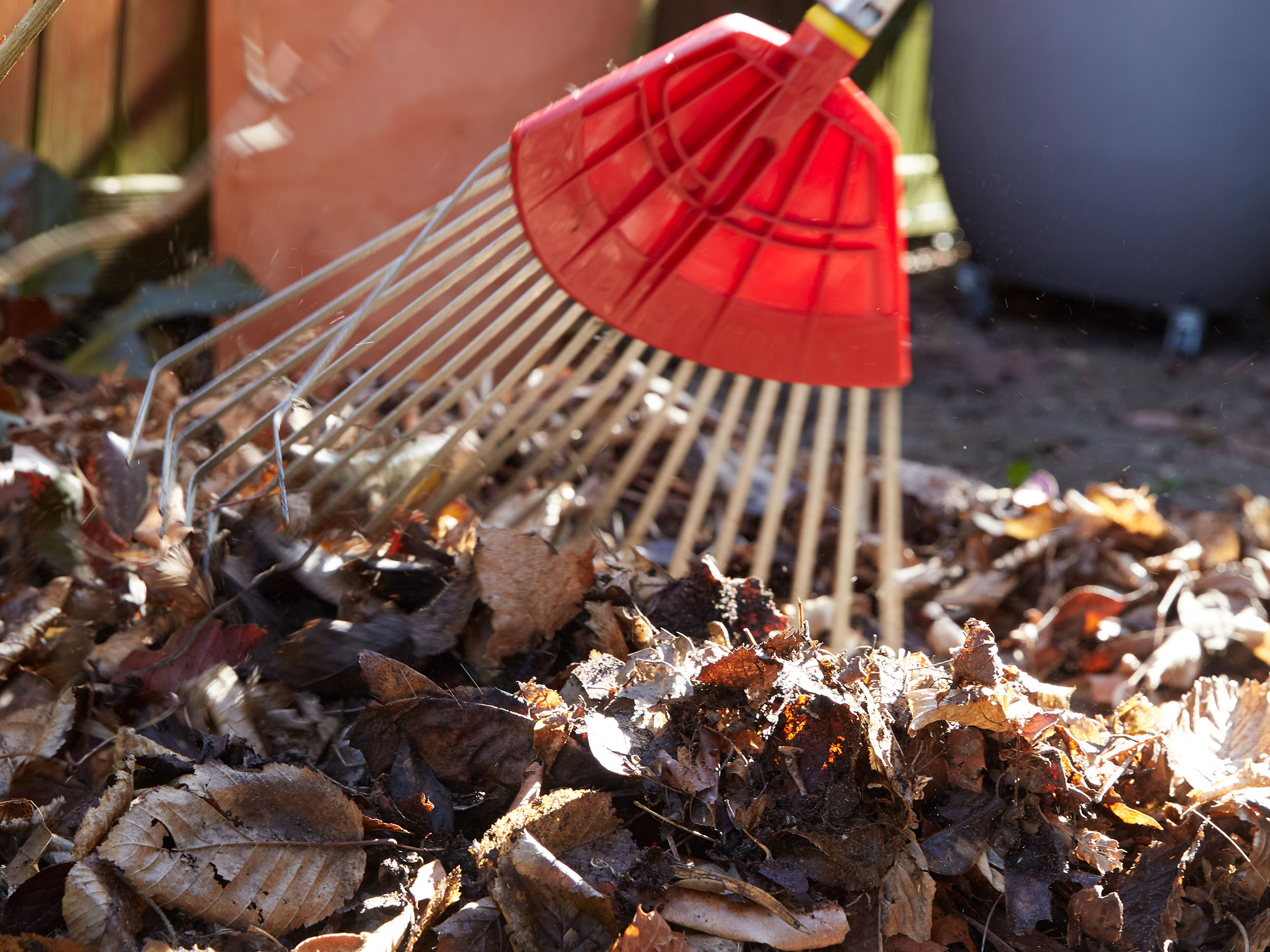 Laub im Garten wertvoll und praktisch GartenFlora