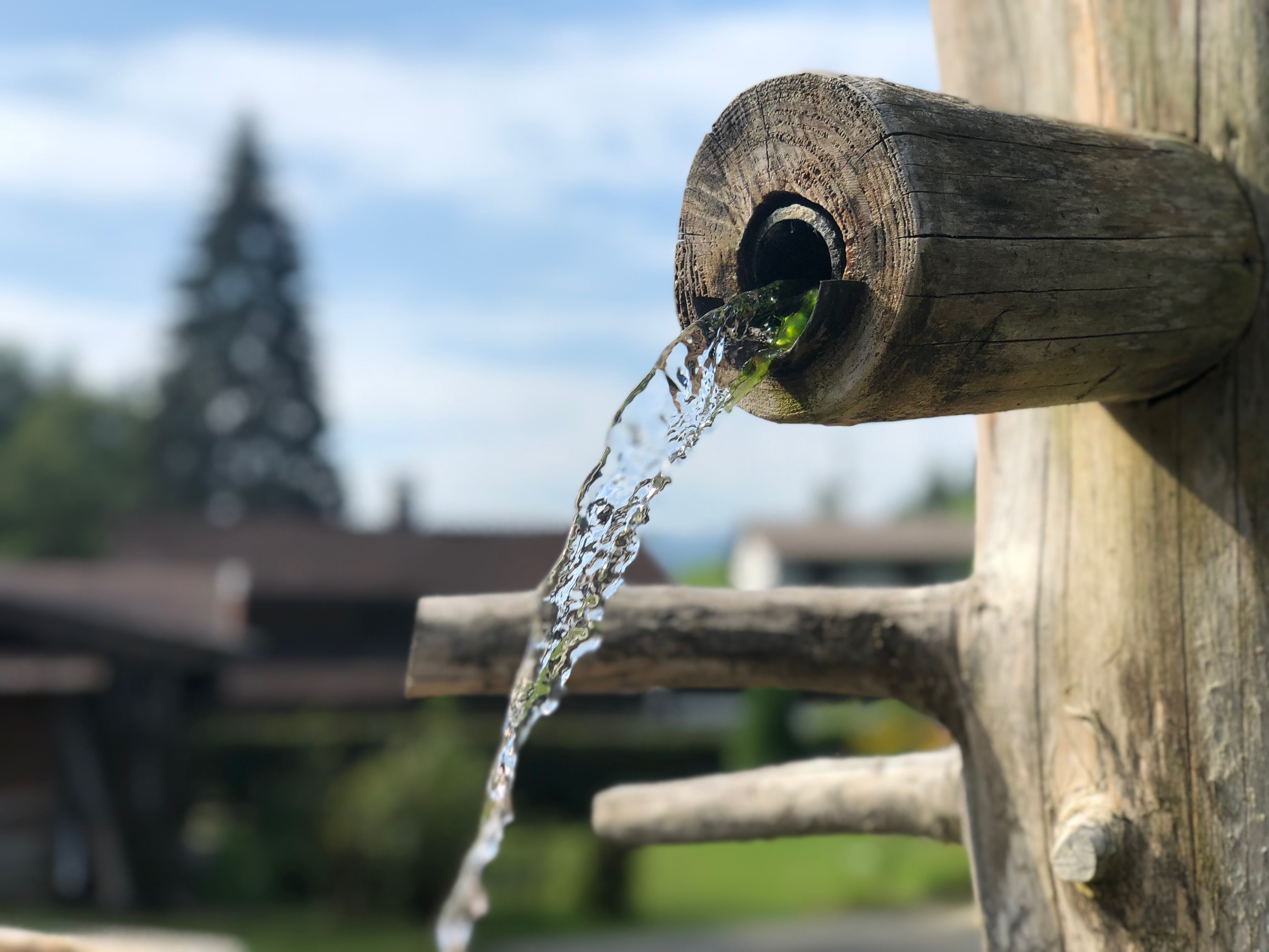 Wasserspiele Fur Ihren Garten Pumpen Und Co Gartenflora