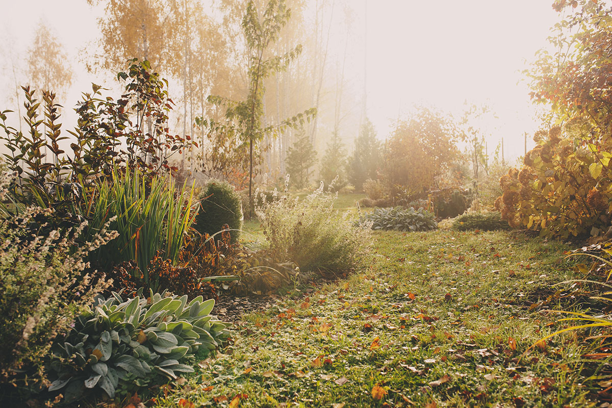 Der Garten im November Todos vor dem Winter GartenFlora