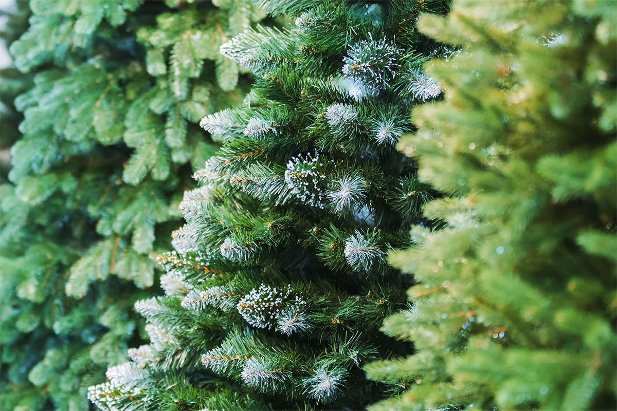 Foto: AdobeStock_Olha