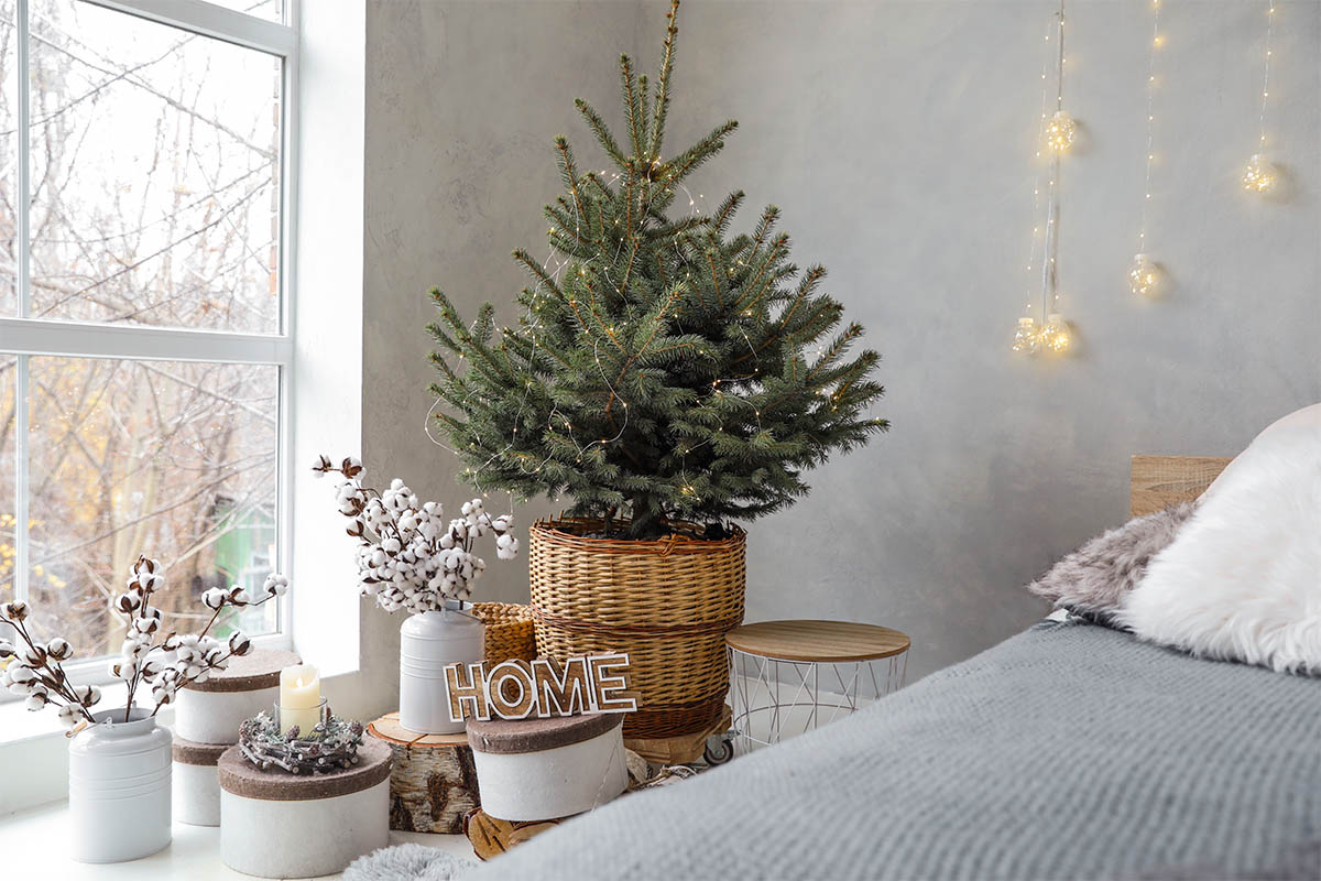Weihnachtsbaum mieten Foto: AdobeStock_New Africa
