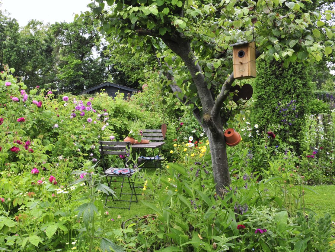 von Stauden und Rasen umgebener Baum in sehr naturnah anmutendem Garten