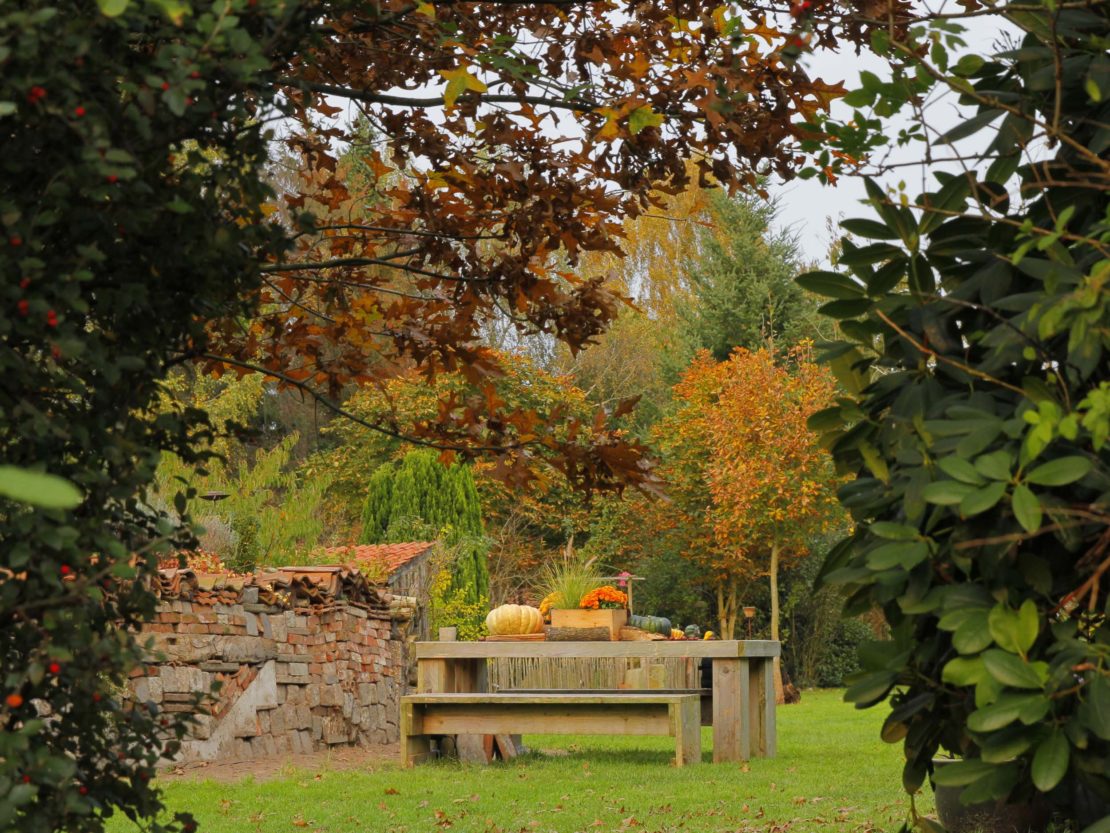 Gartenstimmung im Oktober: mit Gehölzen, deren Blätter im Herbst leuchten, und mit immergrünen Nadel- und Laubgehölzen