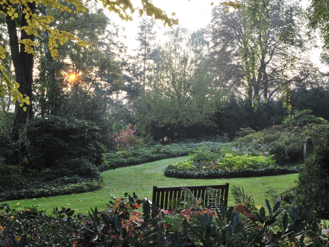 Bäume in sanftem Licht umrahnen einen weitläufigen Garten mit Rasen und Staudenbeeten