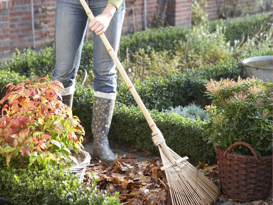 Laub im Garten – wertvoll und praktisch | GartenFlora