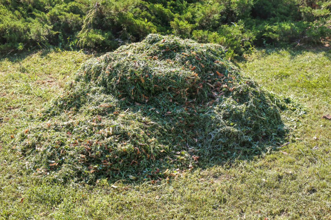 Ein Haufen aus Rasenschnitt. Foto: AdobeStock_Mulchen. Foto: AdobeStock_RaspberryStudio