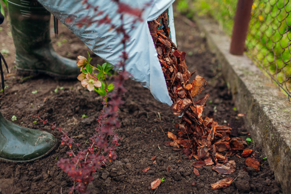 Mulchen: Eine Person mit Gummistiefeln verteilt Rindenmulch in einem Beet. Foto: AdobeStock_maryviolet