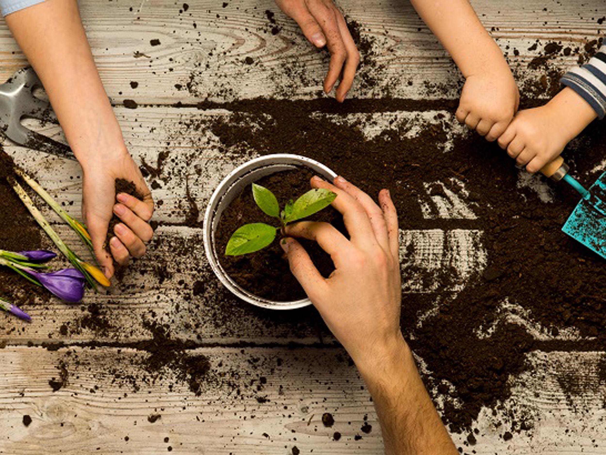 Urban Gardening für Kinder – Tipps und Ideen | GartenFlora