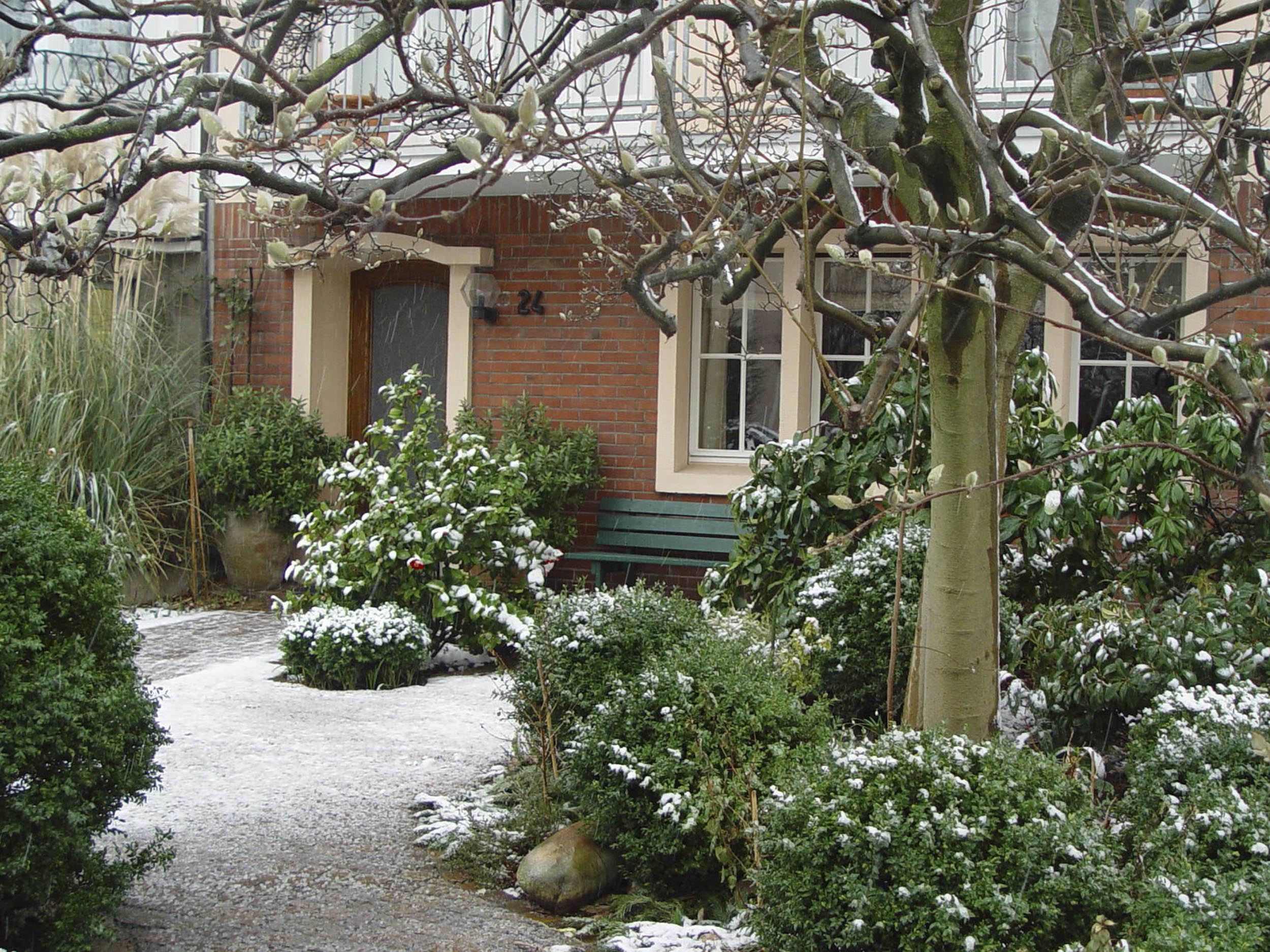 Frostschäden an Gehölzen vermeiden GartenFlora