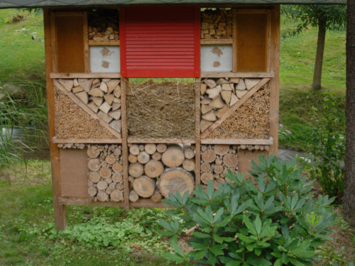 selbst hergestelltes Insektenquartier