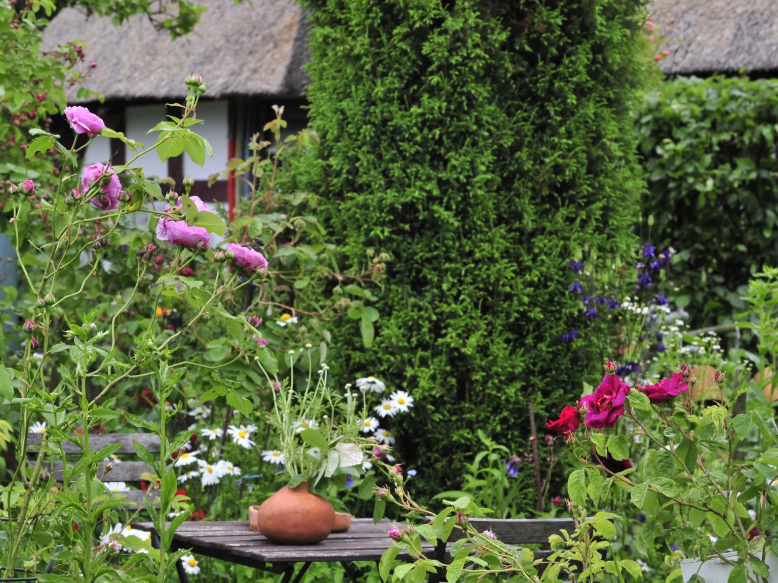 Der Cottage Garten Romantik im Grünen GartenFlora
