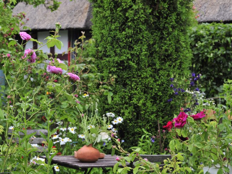 Der Cottage Garten Romantik im Grünen GartenFlora