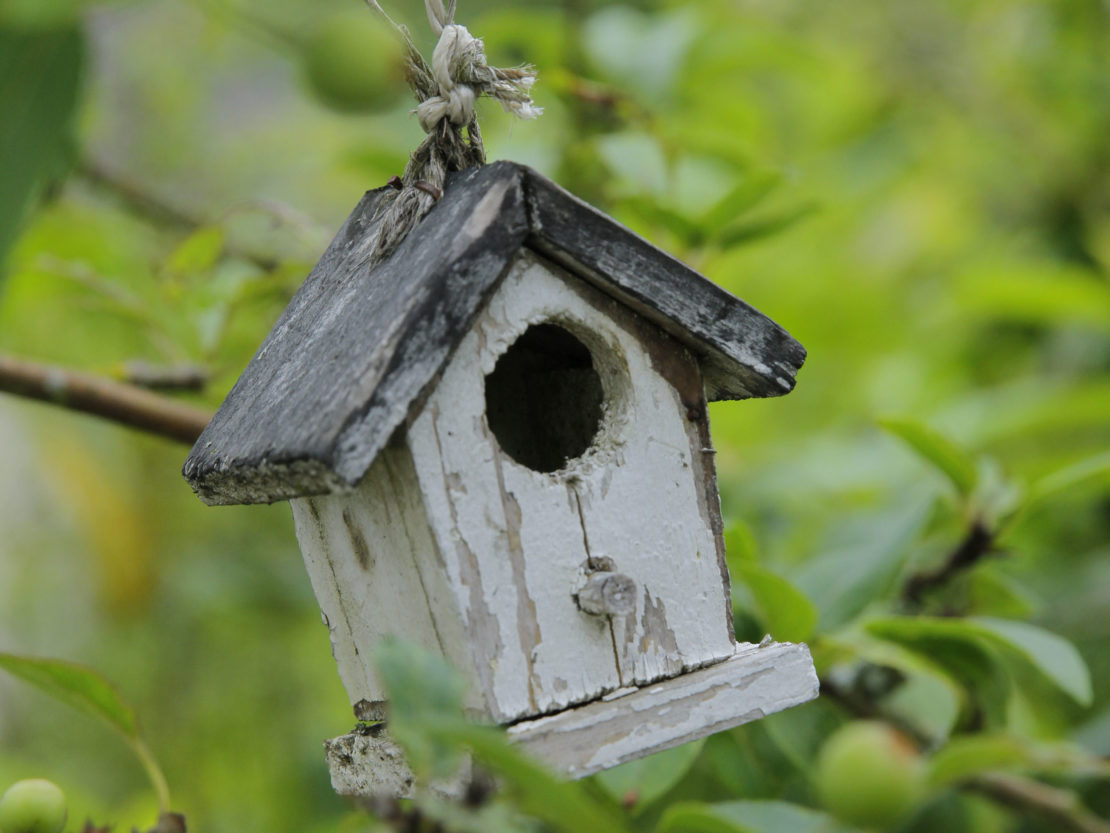 altes Vogelhäuschen mit verwittertem Anstrich in einem Obstbaum