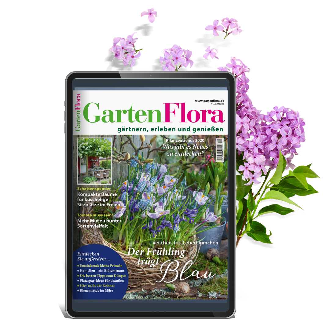 Tablet mit derm Titelblatt der GartenFlora