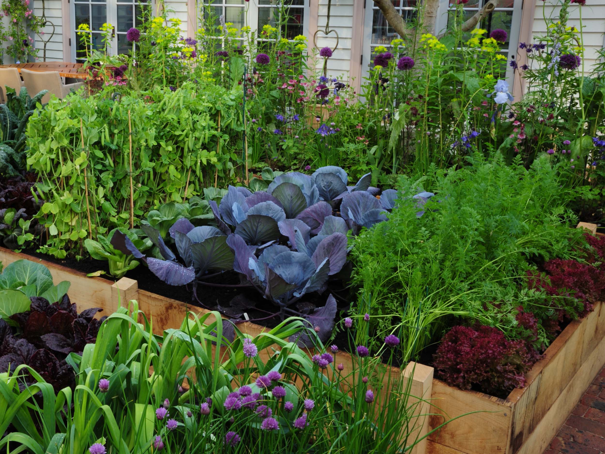 Gemüse für Einsteiger GartenFlora
