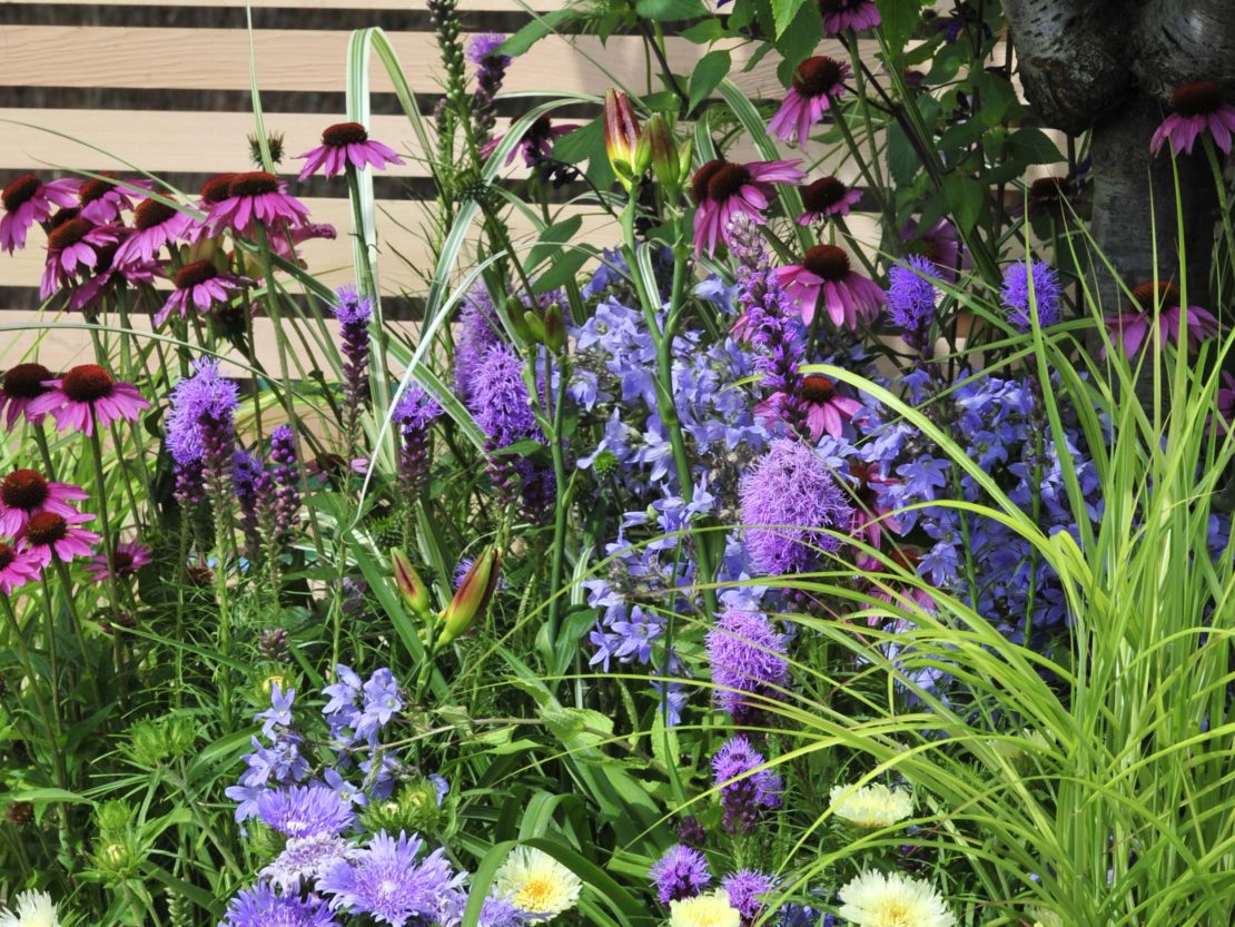 Staudenbeet mit Blüten in Blautönen und Violett