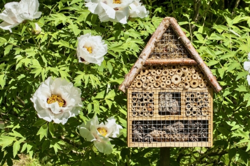 Insektenhotel Foto: AdobeStock_ jbphotographylt