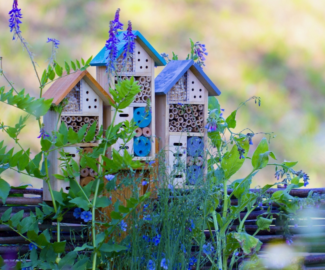Insektenhotel im Garten Foto: AdobeStock_maykal