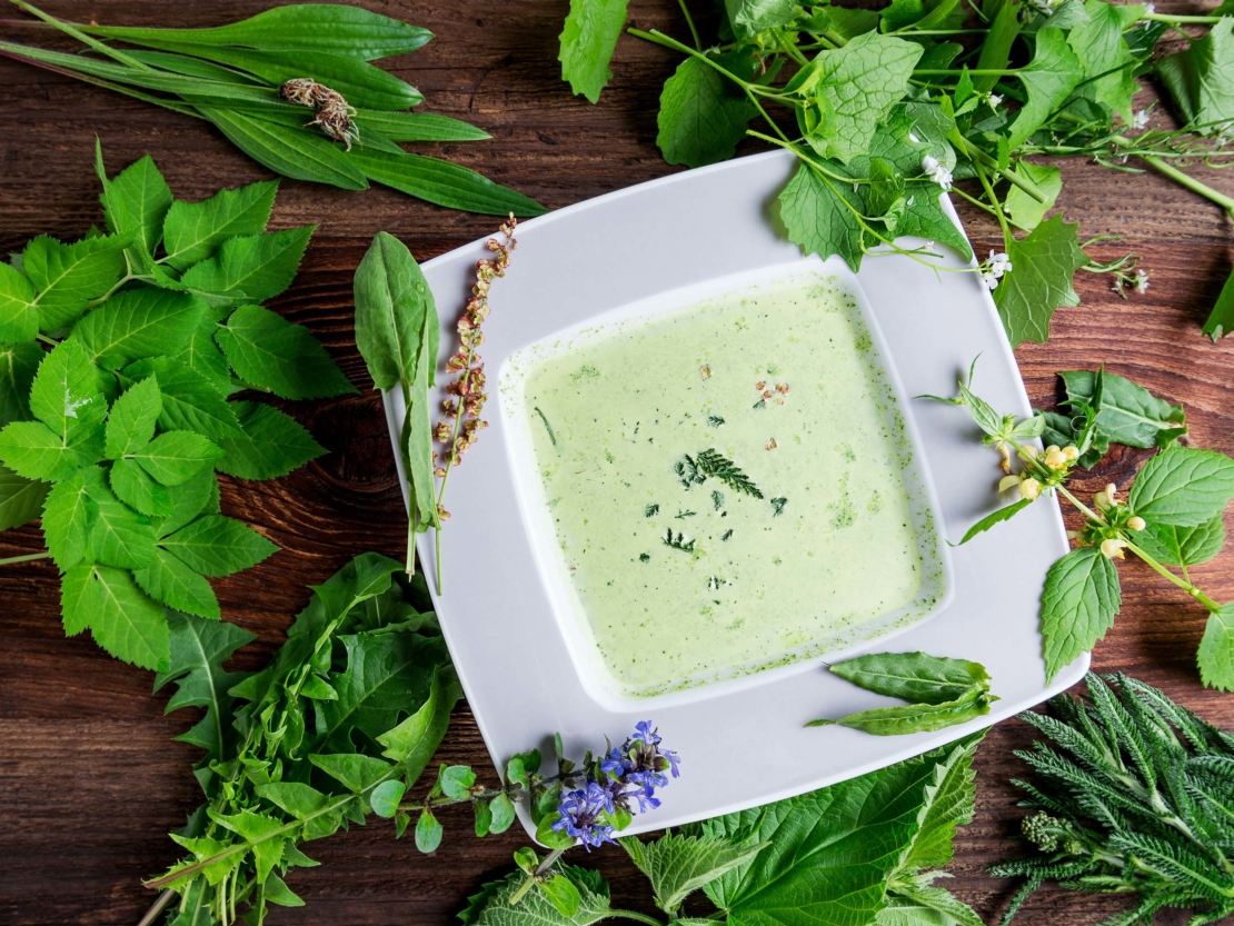 Suppe mit verschiedenen Wildkräutern