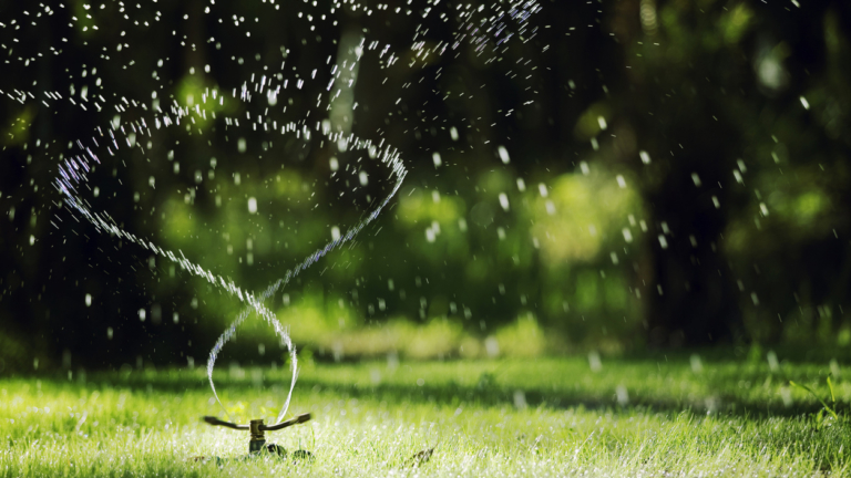 Rasen sprengen Die richtige Bewässerung GartenFlora
