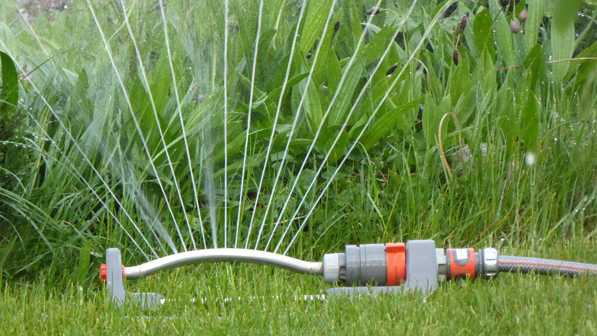 Rasen sprengen Die richtige Bewässerung GartenFlora
