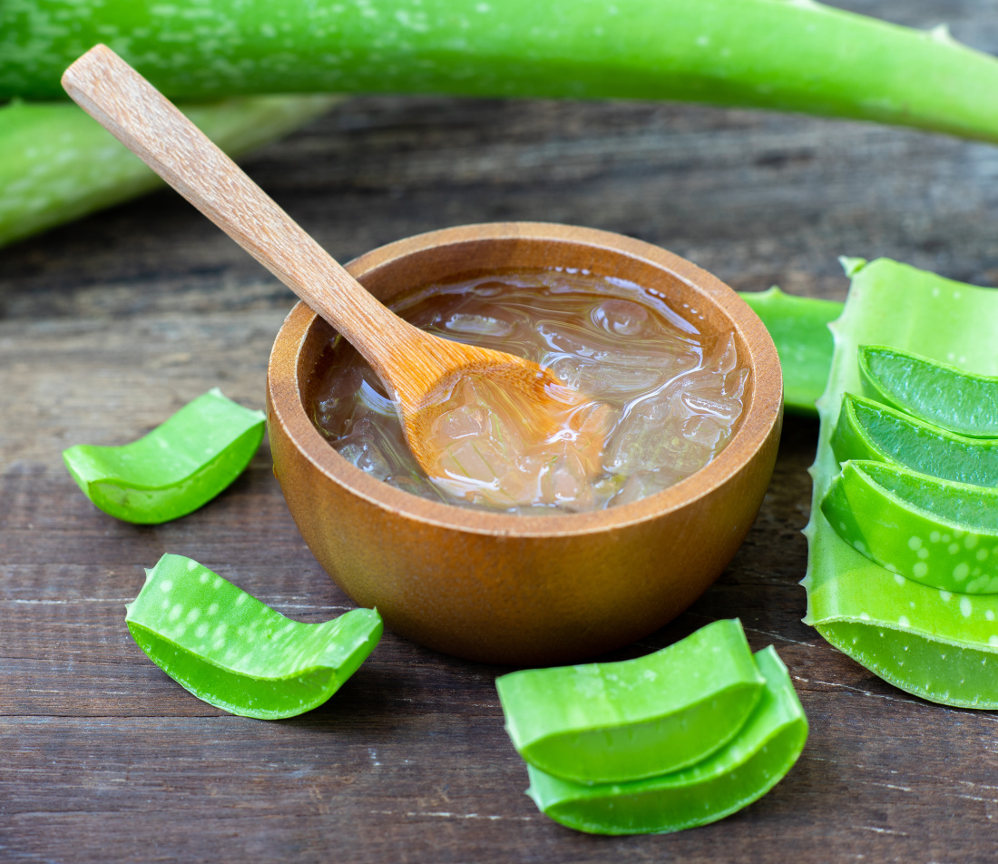 Aloe Vera Foto: AdobeStock_sundaemorning
