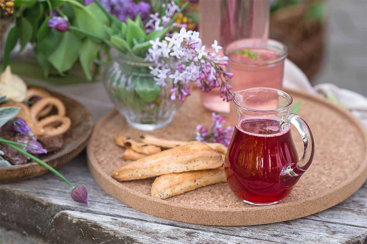 Erdbeersirup neben Erdbeersprudel auf einem Tisch im Garten [Foto: AdobeStock_nadyachertkova]