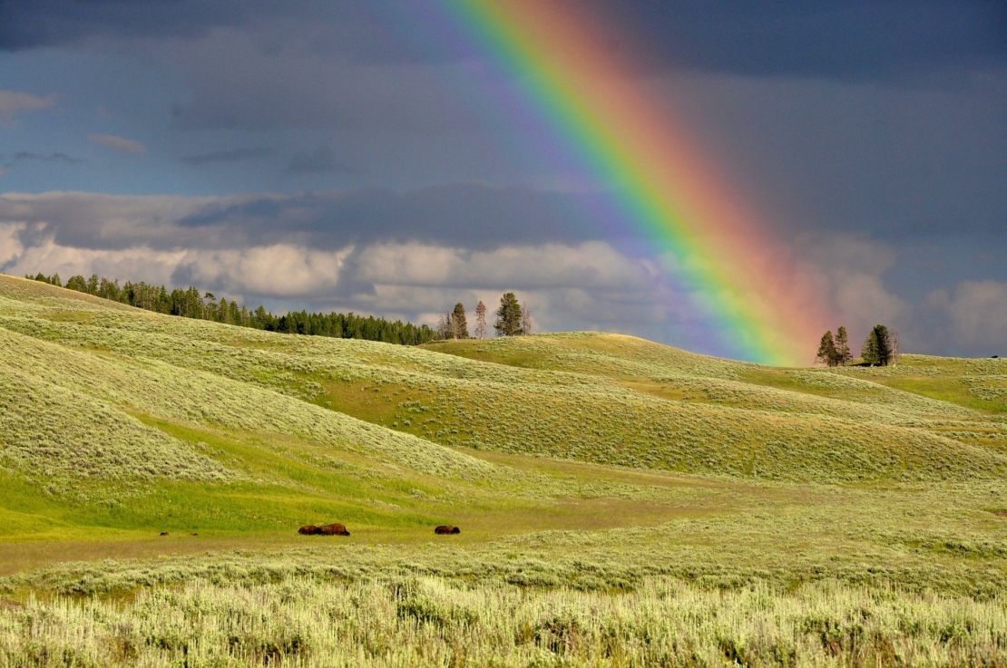 Regenbogen 