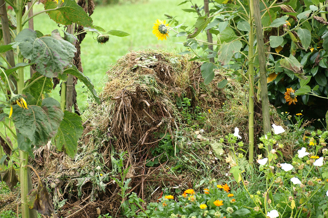 Artenvielfalt im Garten Foto: AdobeStock_visuals-and-concepts