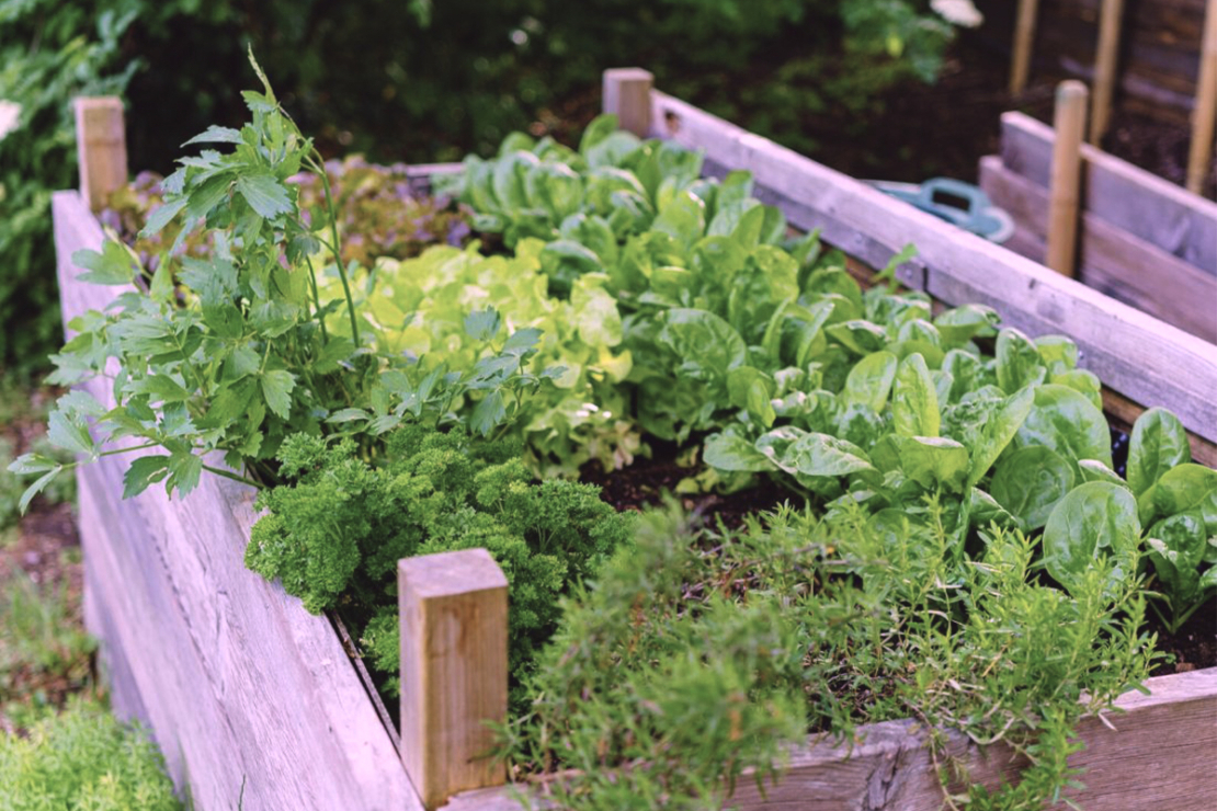 Mehr Abwechslung im Garten Foto: AdobeStock_JM_Soedher