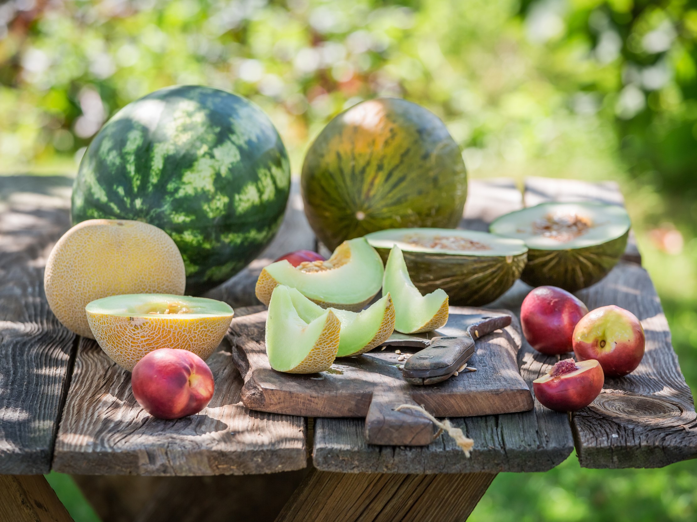 56+ Melonen Selber Ziehen, Melonen gedeihen am besten in warmem