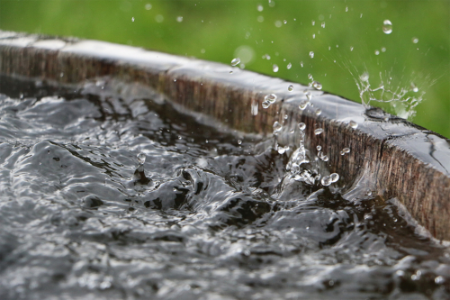 Regenwasser sammeln [Foto: AdobeStock_Bianca]