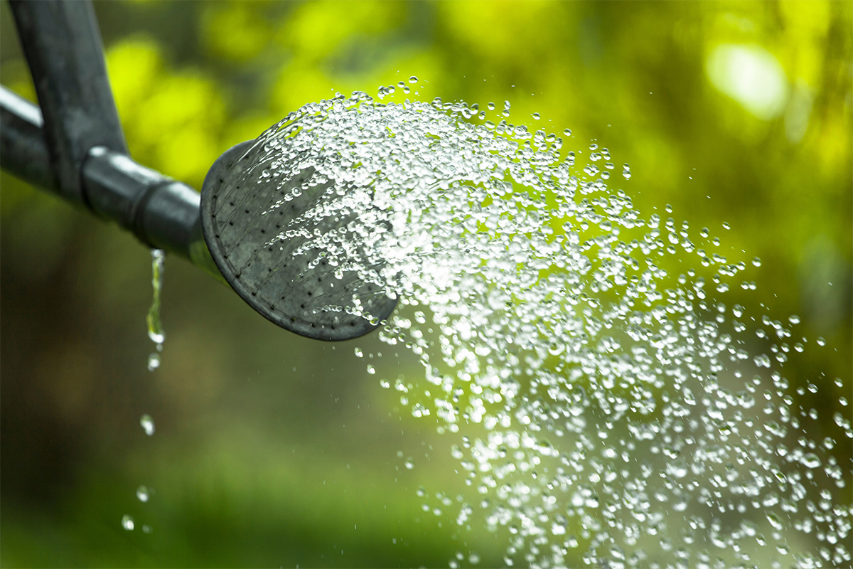 Regenwasser sammeln [Foto: AdobeStock_Maciek]