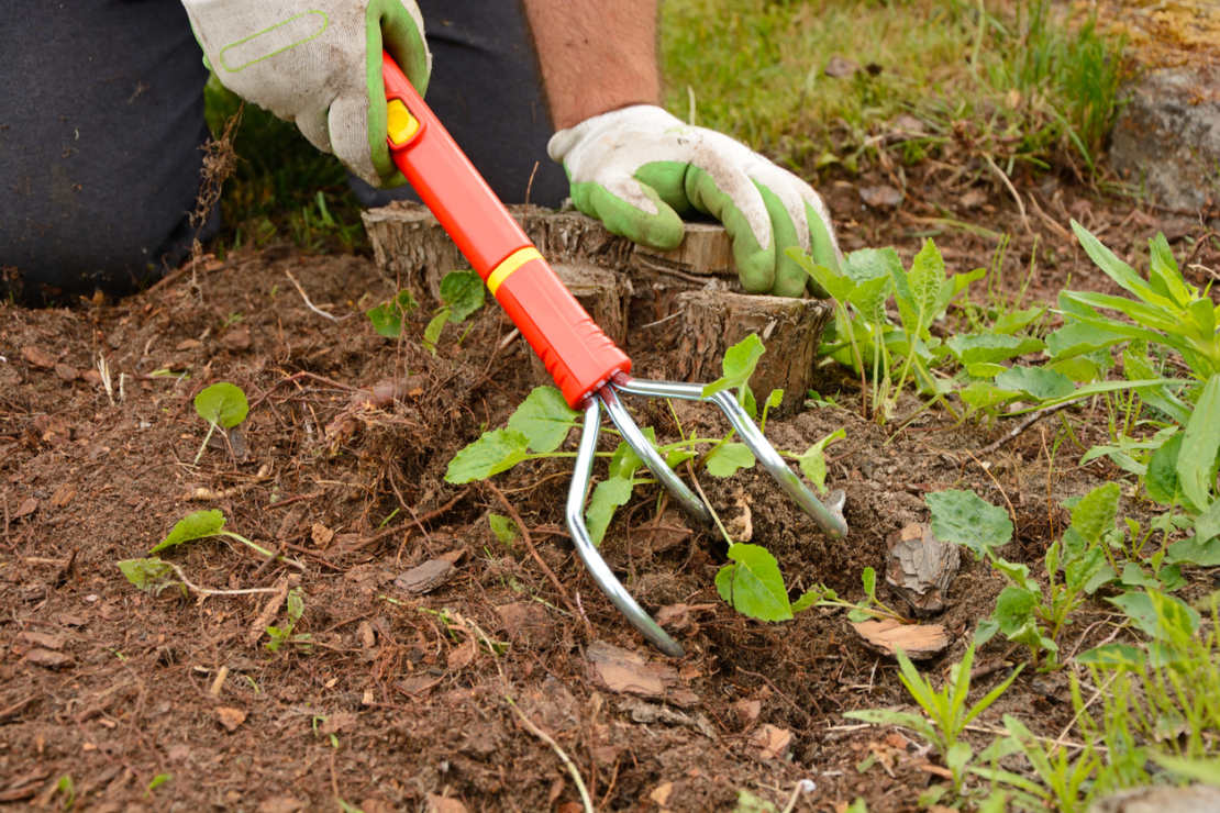 Gartenwerkzeug Handgrubber