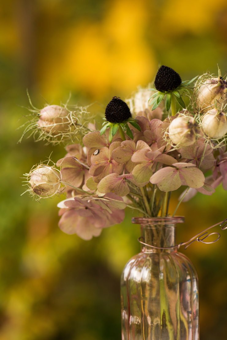 Trockenstrauß in Glasvase. Foto: AdobeStock_DoraZett
