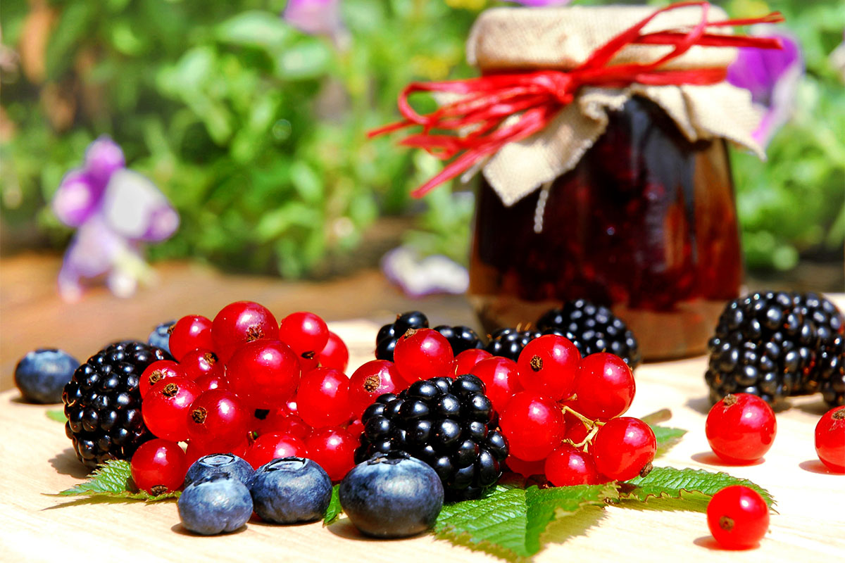 Beeren einkochen Genuss fürs Glas GartenFlora