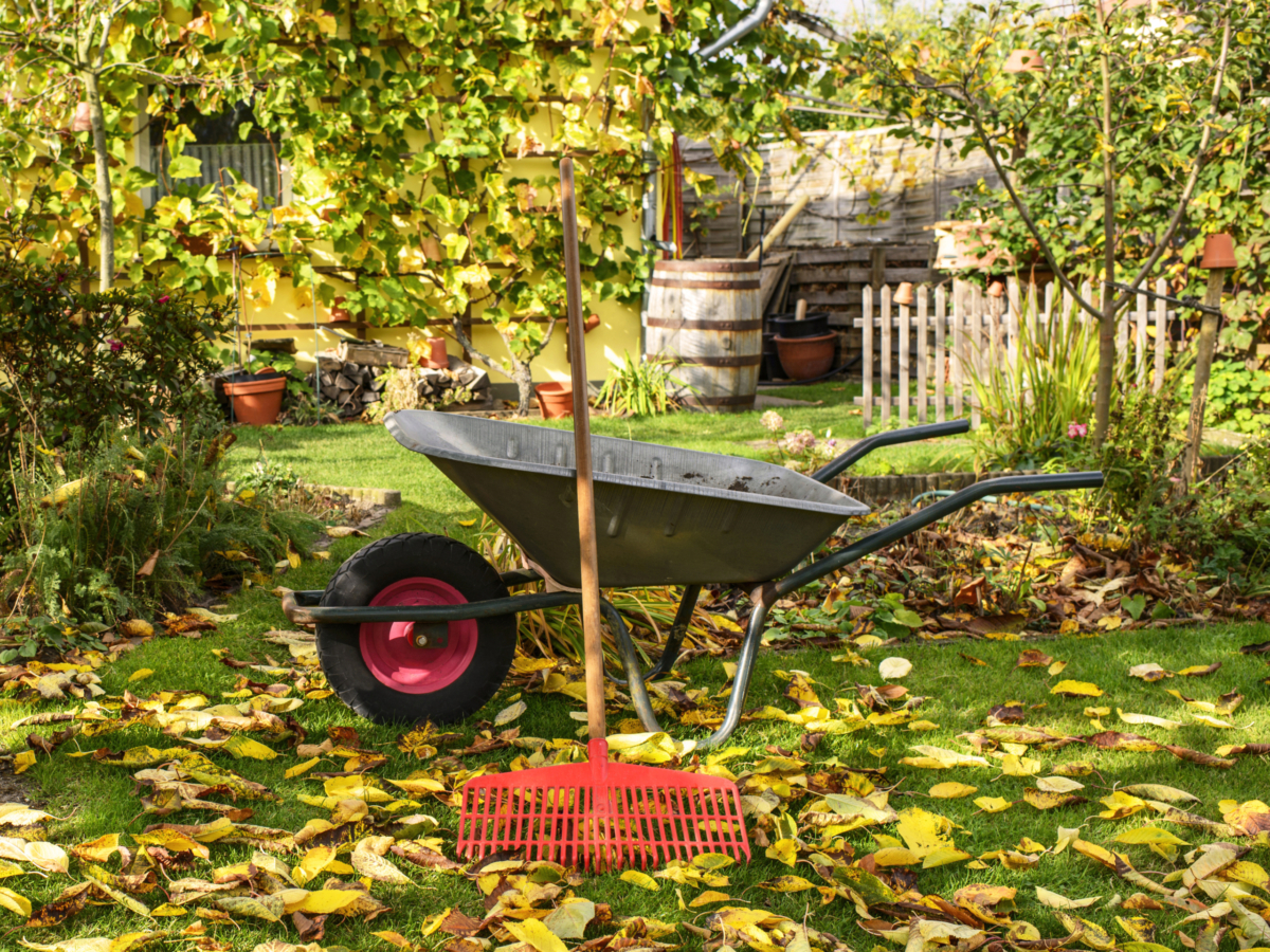 Den Garten winterfest machen bevor es frostig wird GartenFlora