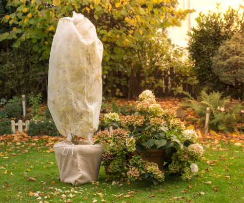 Den Garten winterfest machen bevor es frostig wird GartenFlora