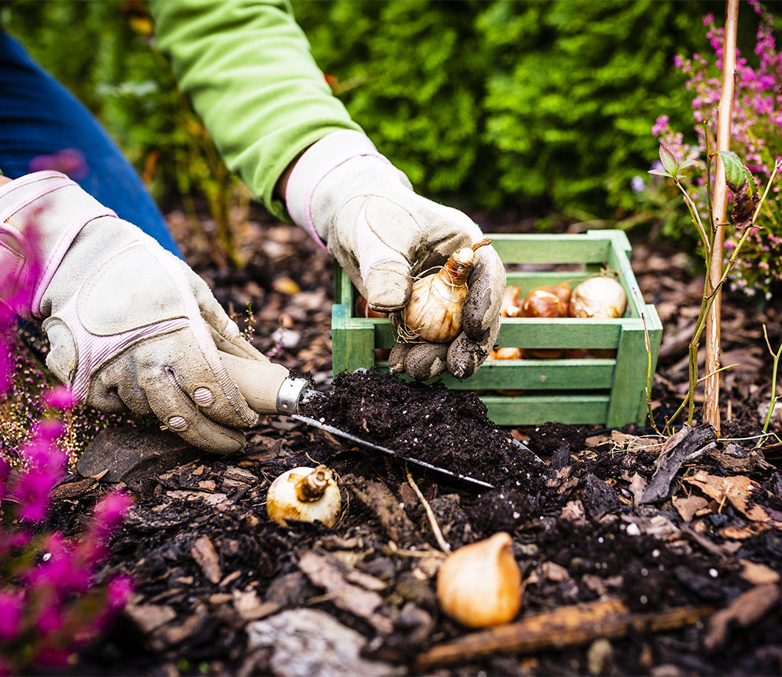 Naturgarten im Herbst Foto: AdobeStock_iMarzi