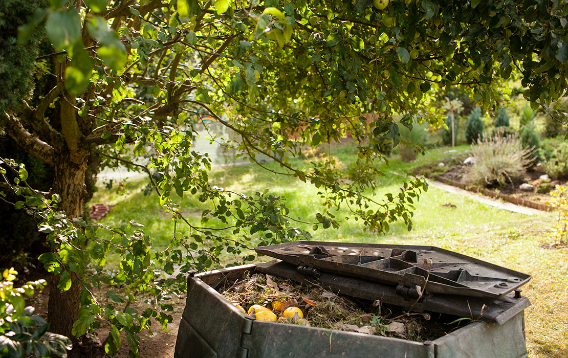 Kompostbehälter im Garten. Foto: AdobeStock_mdennah