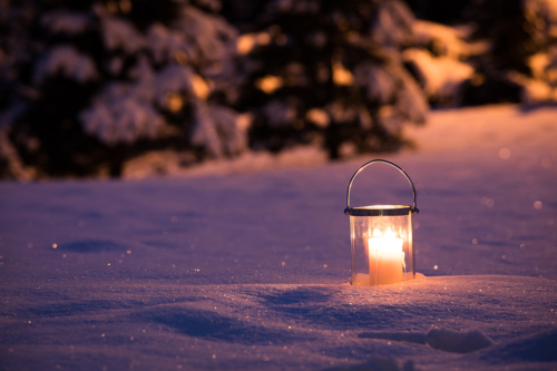 Weihnachtsbeleuchtung Garten Foto: AdobeStock_kubikactive