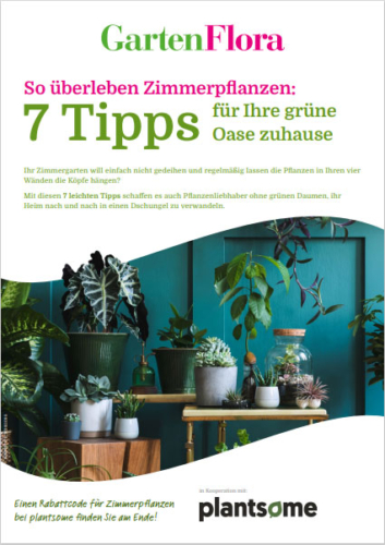 Deckblatt GartenFlora Whitepaper Zimmerpflanzen