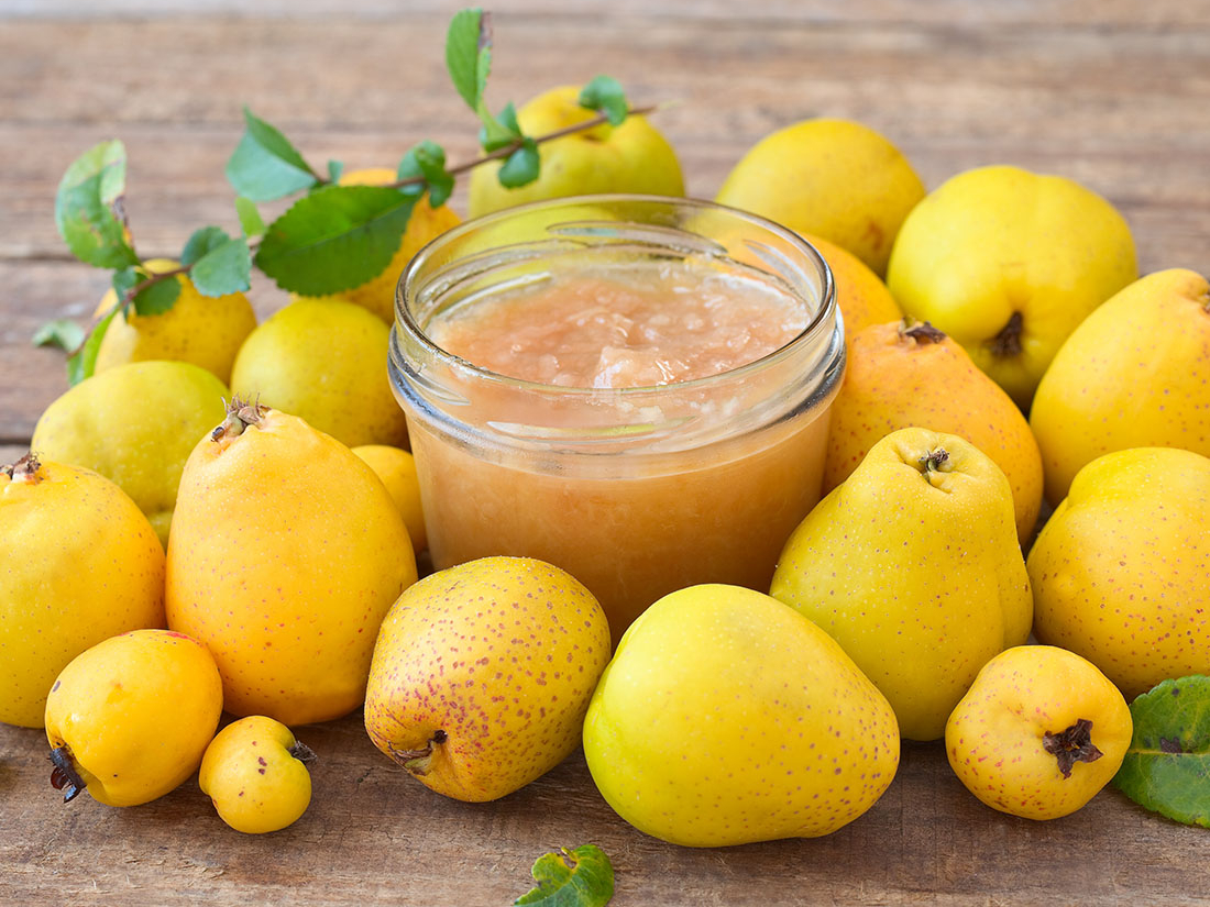 10+ quittensenf rezept - AllanahAamanee